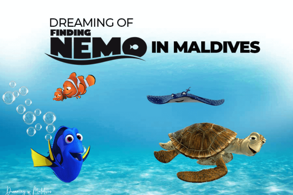 Luyện nghe Toeic qua phim Finding Nemo